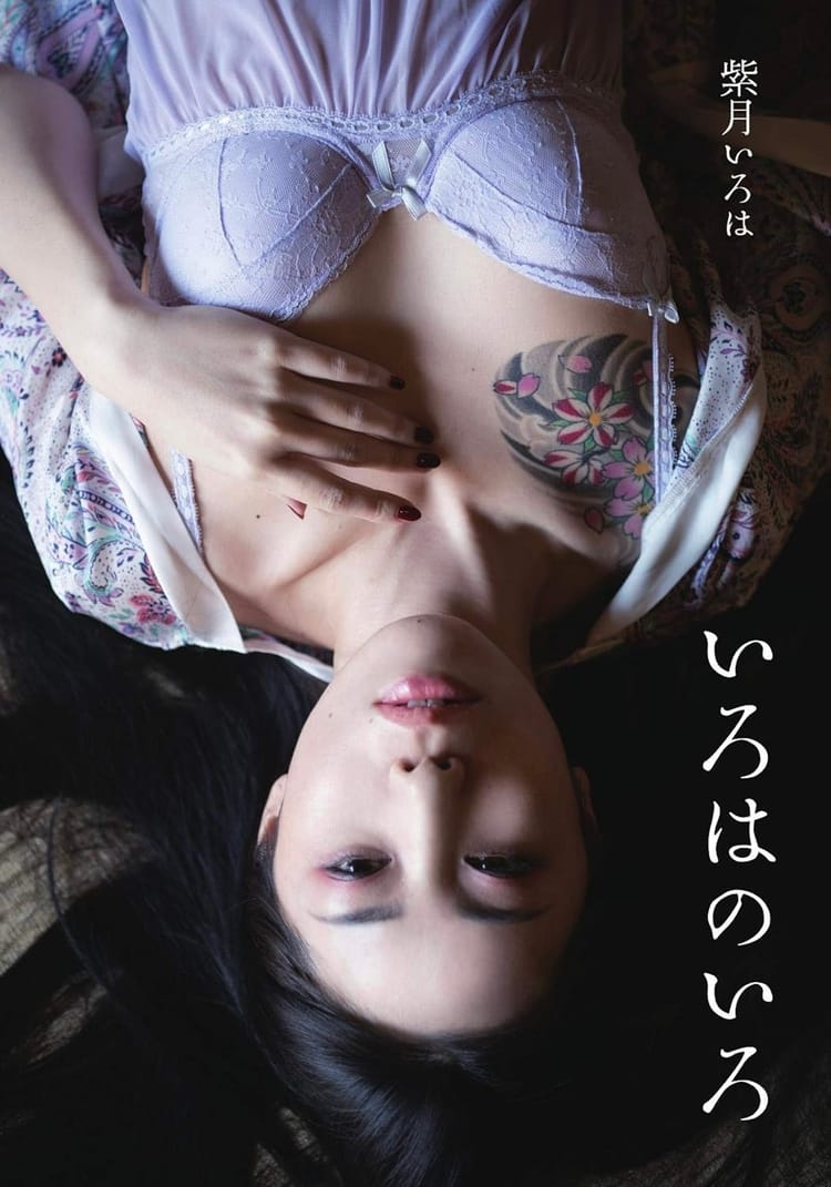 The Colours of Iroha: Reflections on Modelling in Kinbaku